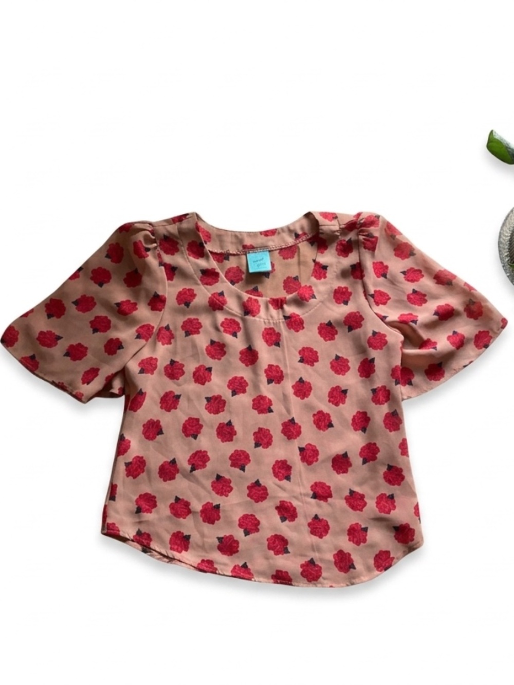 Vintage Floral Printed Crop Top